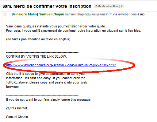 Cliquez sur le lien bleu de votre email de confirmation