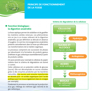 vinaigre-fosse-septique-acide-acetique