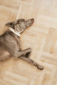 Comment cirer votre parquet